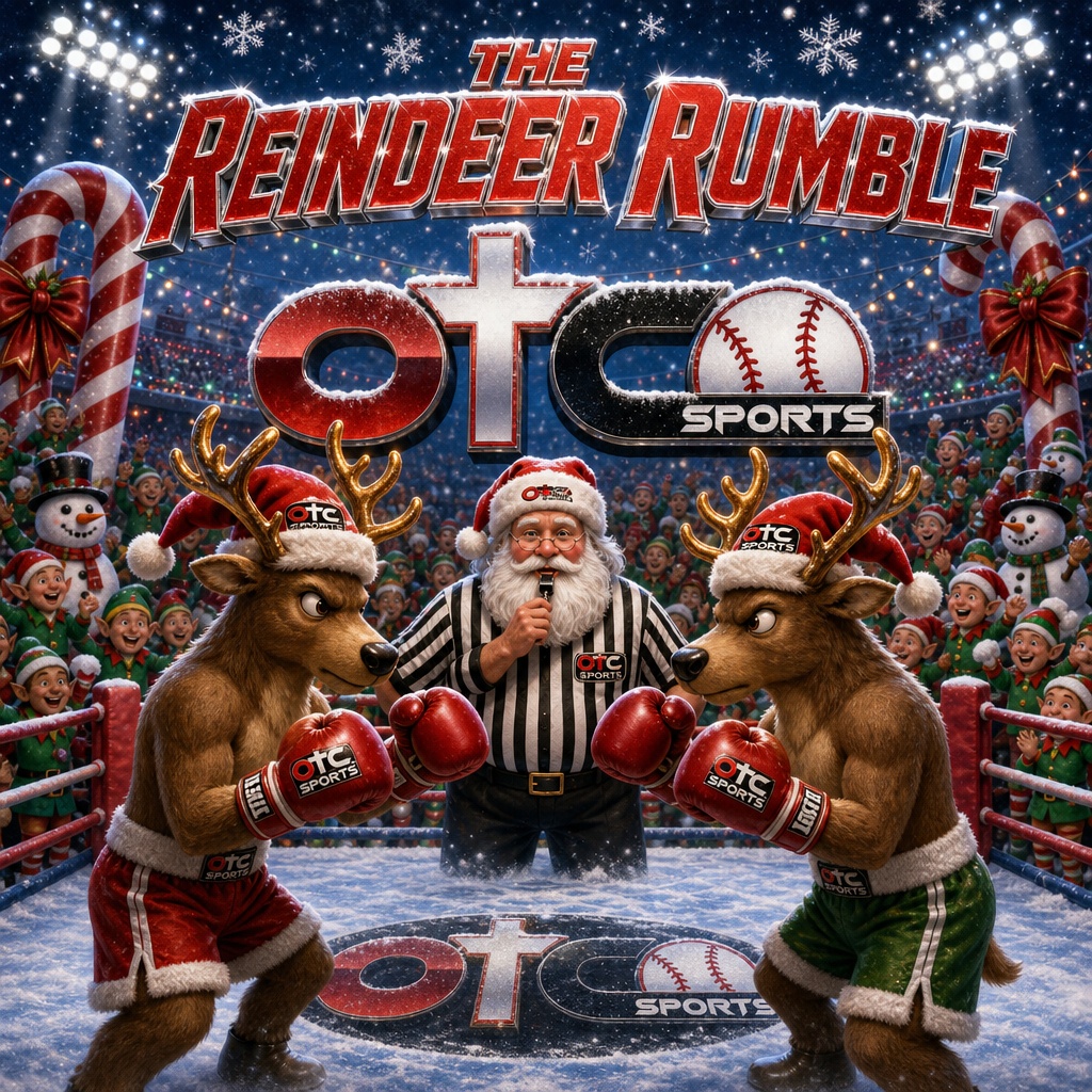 Santa's Diamond - BR CASA Toy Drive Logo
